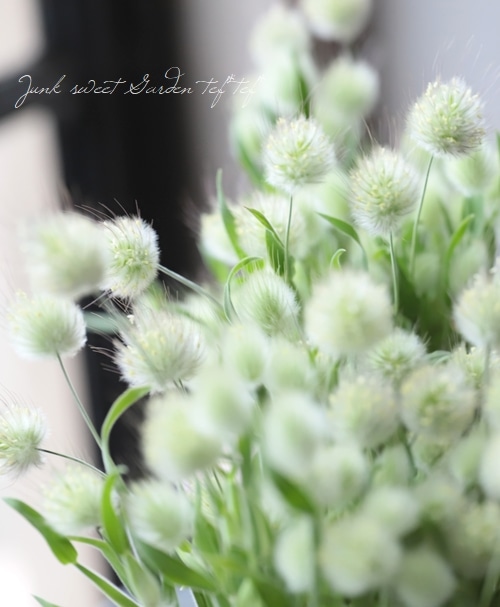 ラグラス オバタス バニーテール すべての商品 Junk Sweet Garden Tef Tef