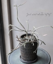 �ڴ��տ�ʪ�ۥ桼�ե���ӥ� �إץ�ƥ�������١إ���ӥץ��ȡ�