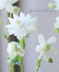 ���Υ����ޥ��������󥿥��� �إۥ磻�ȡ�