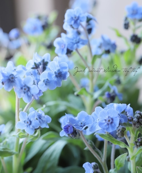 ハンドメイド　スリーピングベビー　紫陽花ブルー 1AB27Y | Haruulala organic