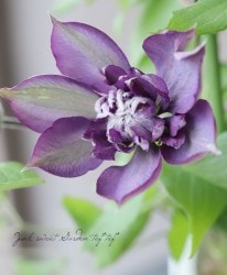 ����ޥ��� �إ������ƥ���