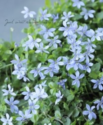 �����ܥ������ץ�ƥ������إ֥롼��