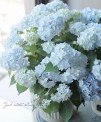 �����۲֡������ڤƤޤ�١��֥롼