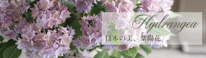 山紫陽花 コガクウツギ『花笠』 | すべての商品 | | Junk sweet Garden