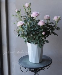 �Х��ġ������ǥ������  �إ��������ȥץ�󥻥���