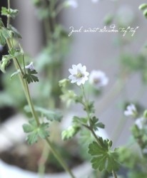 ˥ࡦԥʥࡡإޡΡ١ե