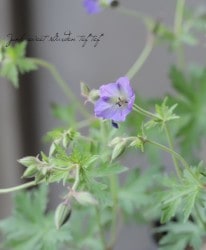 餭˥ࡡإ󥽥󥺥֥롼