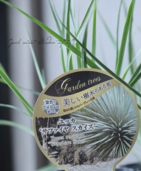 ��å� �إ��ե����� ����������