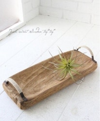 �ڻ��ߡ� �饳�����ȥ쥤