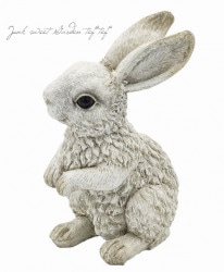 �ڻ��ߡۥ쥸�󥢥�ƥ��������˥ޥ��ӥåȣ� �ڥۥ磻�ȡ�