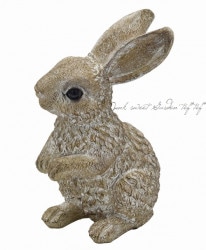 �ڻ��ߡۥ쥸�󥢥�ƥ��������˥ޥ��ӥåȣ� �ڥʥ������