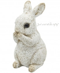 ڻߡ 쥸󥢥ƥ˥ޥӥå03 ڥۥ磻ȡ