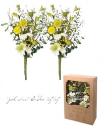 �ڻ��ߡ� �Ϥ�ʤ��������֡�2�ܥ��åȡڤ䤹�餫�ʸ��֡ۥե������ե�