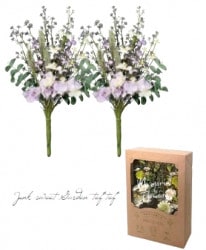 �ڻ��ߡ� �Ϥ�ʤ��������֡�2�ܥ��åȡڱʱ�θ��֡ۥե������ե�