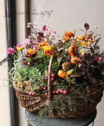 -TEFNIQUE-󤻿 2020 * no.30 *إʥ롦ϥ