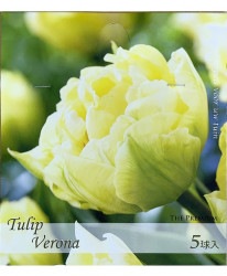 �ڵ庬��Ȭ�ź餭���塼��åס��إ��������ʡ١��庬5��