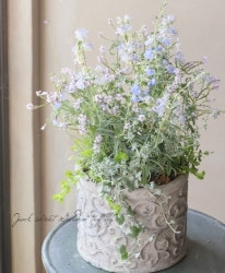 -TEFNIQUE-󤻿 2020 * no.31 *إӥ塼ƥˢ