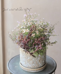 -TEFNIQUE-󤻿 2020 * no.32 *ؽɤ륳쥪ץ