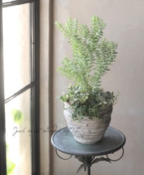 -TEFNIQUE-󤻿 2020 * no.33 *ؽ˥꡼Ǥ