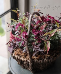 -TEFNIQUE-󤻿 2020 * no.35 *ؽޥååɤʥХåȢ