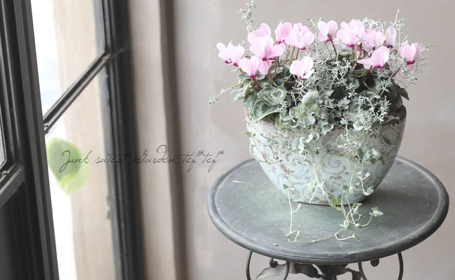 TEFNIQUE-寄せ植え 2020 * no.36 * 『ほんのりピンクキラキラリーフ