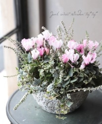 -TEFNIQUE-󤻿 2020 * no.37 *إԥ󥯤βĤ