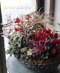 -TEFNIQUE-󤻿 2020 * no.38 *ؽ顼ʥХåȢ