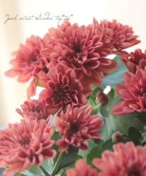 ���ꥵ�󥻥ޥࡦ�ޥ���ȥ����ӥ��� �إС�����ǥ���