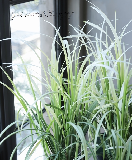 白葉ヤブラン リリオペ ピュアブロンド すべての商品 Junk Sweet Garden Tef Tef