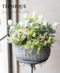 -TEFNIQUE-󤻿 2020 * no.40 *إե⥫١֤䤫ХåȢ