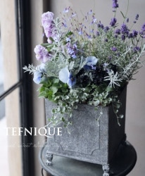 -TEFNIQUE-󤻿 2020 * no.42 *إեʥ֥롼δ󤻿