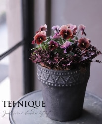 -TEFNIQUE-󤻿 2020 * no.43 *Ͳİߥƥåꥹޥ