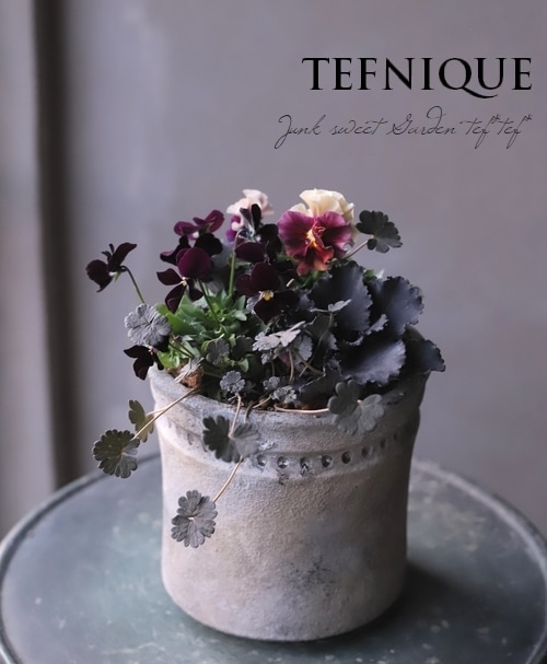 TEFNIQUE-寄せ植え 2020 * no.45 * 『マシェリマダムの寄せ植え