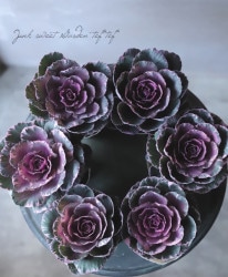 ղðޥ⡦ɥ -ѡ إͥ