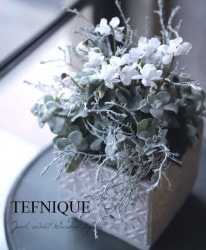 -TEFNIQUE-󤻿 2020 * no.50 *إۥ磻Xmasδ󤻿