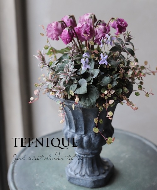 TEFNIQUE-寄せ植え 2020 * no.51 * 『ロココスタイルな寄せ植え