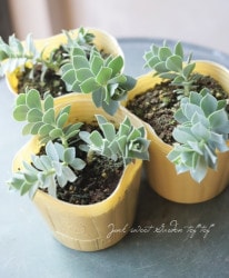 桼եӥ إߥ륷˥ƥ إߥ륷ʥġ