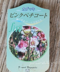 Ȭ�ź餭�����ޥ����إԥ󥯥ڥ������ȡ�