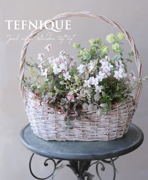 寄せ植え】-TEFNIQUE-寄せ植え 2021 * no.3 * 『春色ナチュラル