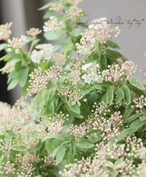 ߤꥳǥޥꡡإԥ󥯥١غǤޤ