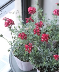 �С��٥ʡ��ƥ̥����������إ�åɡ١�