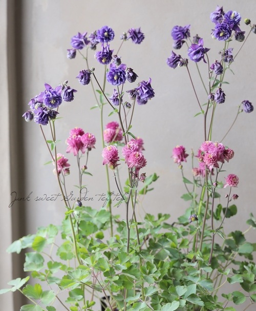 kaikaikiki 宋李嵩「花籃」へのオマージュ 4月23日(水) 12時よりWebショップにて、村上隆直筆サイン入り