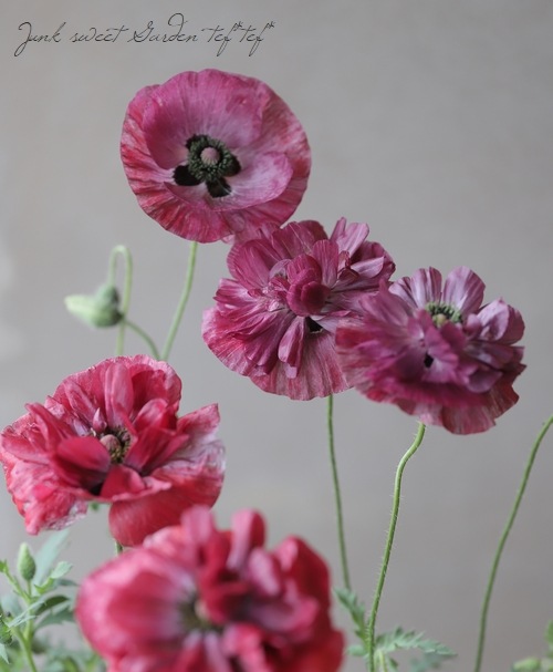 レア ポピー パンドラ すべての商品 Junk Sweet Garden Tef Tef レア ポピー パンドラ すべての商品 Junk Sweet Garden Tef Tef