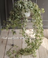 �إǥ顦�إ�å�������No.A��