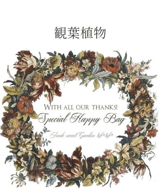 ڽ13ǯ۲Ƥδտʪ ޤʡ