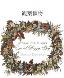 �ڽ�13��ǯ�۲Ƥδ��տ�ʪ ���ޤ���ʡ��