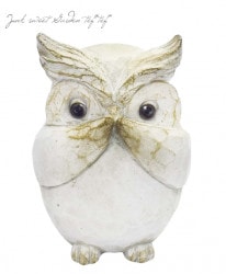 �ڻ��ߡ� �쥸�󥢥�ƥ��������˥ޥ롦������D �ڥۥ磻�ȡ�