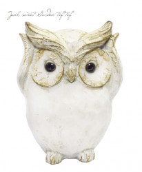 �ڻ��ߡ� �쥸�󥢥�ƥ��������˥ޥ롦������E �ڥۥ磻�ȡ�