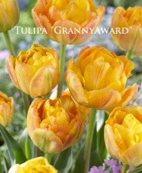 �ڵ庬�� Ȭ�ź餭���塼��åס��إ���ˡ�����ɡ�