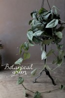 �ڴ��տ�ʪ�� ��������ץ������ԥ��������إȥ�ӡ��١��إȥ쥦�ӡ���